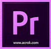 Adobe Premiere Training Classes in Los Angeles or Live Online